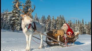 Départ du Père Noël avec renne de la Laponie🦌🎅 message du Petit Papa Noël en Finlande Santa Claus [upl. by Onaicilef]