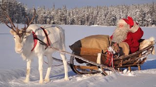 Christmas in Pello reindeer land of Santa Claus in Lapland next to Rovaniemi in Finland [upl. by Stasny297]