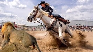 7 Raças De Cavalos Mais Selvagens Do Mundo [upl. by Soule371]