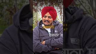 295 Sidhu moose wala New song sidhumoosewala punjabi shorts [upl. by Hasin601]