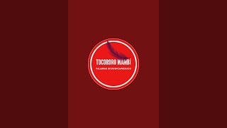 Tocororo Mambi [upl. by Hesky774]