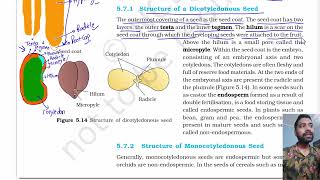 Morphology of flowering plants part 6  The Fruit  The Seed  Chapter 5 class 11 Biology NCERT [upl. by Isoj790]