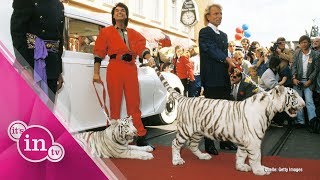 Siegfried amp Roy Darum griff der Tiger damals wirklich an [upl. by Urata]