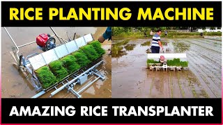 Rice Planting Machine  Paddy Transplanter Machine [upl. by Ase]