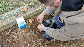 Come rimuovere un ceppo in modo naturale  Natural Stump Removal [upl. by Tareyn]