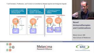 Novel Immunotherapies and Combinations [upl. by Keriann606]