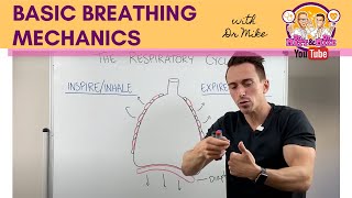 Basic Breathing Mechanics [upl. by Derwon]