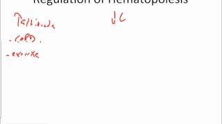 Hematopoiesis and Erythropoiesis [upl. by Tomas]