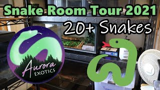 Reptile Room Tour 2021  Meet My Snakes [upl. by Neomah]