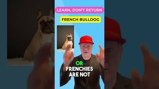 French Bulldogs vs Pugs Whats the Difference [upl. by Cornel]