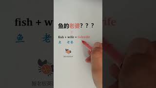 24 fish鱼  wife老婆  fishwife鱼的老婆？ 英语单词 英语语法 英语翻译 [upl. by Elleina713]