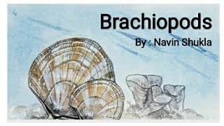 BrachiopodsByNavin ShuklaLasthope [upl. by Yrevi571]