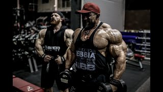 Flex Lewis Unfiltered 2 [upl. by Andonis]