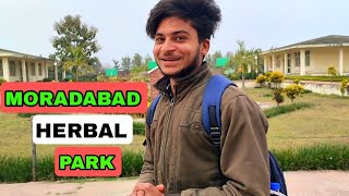 MORADABAD HERBAL PARK  मुरादाबाद हर्बल पार्क  ECO HERBAL PARK  HITUPVLOGGER [upl. by Ggerc]