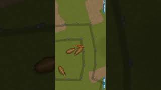 Tasty Planet Forever  AUSTRALIAN DINGO  Level 8 shorts tastyplanetforever games walkthrough [upl. by Hnahk]