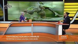 22 Ekim 2024 Ekran GazetesiVeteriner Hekimi Dr Burak Han KaraağaçKokarca Sokak Hayvanları Kedi [upl. by Tench]