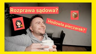 Rozprawa sądowa Hodowla pieczarek pizzapawel vlog [upl. by Annert]