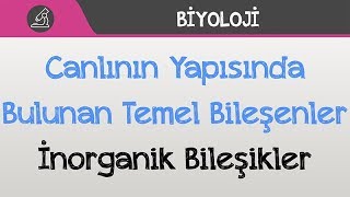 Canlının Yapısında Bulunan Temel Bileşenler  İnorganik Bileşikler [upl. by Notsniw]