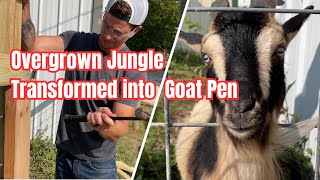 Overgrown Jungle Transformed into Goat Pen [upl. by Madda]