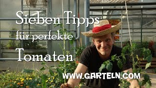 Tomaten pflanzen  Sieben Tipps für perfekte Tomaten 🍅 in eurem Garten und auf dem Balkon [upl. by Sheena]