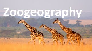 Zoogeography [upl. by Haymo]