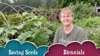 How Biennials Help You Save Seeds [upl. by Garaway195]