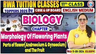 Class 11 Biology Chapter 5  Morphology Of Flowering Plants By Vandana Mam [upl. by Rebme293]