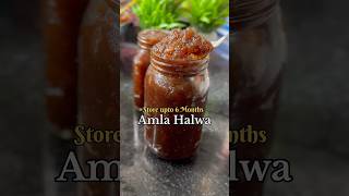 Amla Halwa store upto 6 month amlarecipes shorts recipe pallavifoodvoyage [upl. by Dj349]