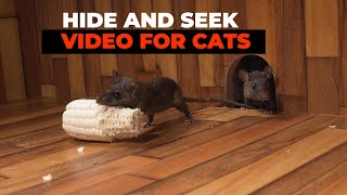 CAT GAMES 😺 Hide and Seek Mice for Cats to Watch with Bird Sounds [upl. by Tarrel]