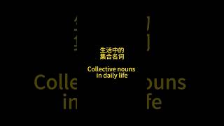 Collective nouns in daily life 中文 learnchinese language [upl. by Rehpotsirhc]