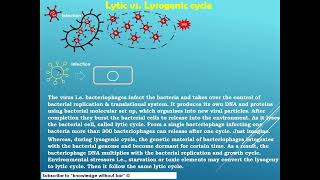 Lytic vs lysogenic cycle microbiology educationalvideo [upl. by Eitisahc]