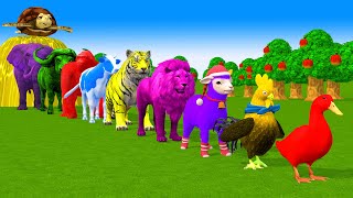 Paint amp Animals Duck Cow Gorilla Lion chicken Elephant Fountain Crossing Turtle Cartoon Game [upl. by Urson857]