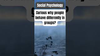 Social Psychology facts psychologypsychologyfacts motivation motivational cognitivepsychology [upl. by Anirrak]