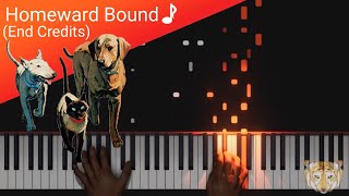 Homeward Bound I End Credits  Homeward Bound The Incredible Journey  Piano Tutorial [upl. by Nylarej25]