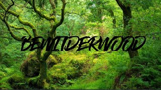 BeWILDerwood 2021 [upl. by Etnom]