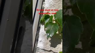 How to treat a non accessible wasp nest with drione socialwasps wasp yellowjackets hornet [upl. by Ivey]