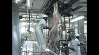 Focus on Meat Exports in Kenya [upl. by Nomyar]