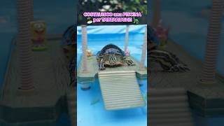 COSTRUISCO una PISCINA per TARTARUGHE🏝️🐢🤩 tartarughe turtle dog cane piscina [upl. by Perice546]