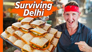 How India Survives without Meat Delhis AntiMeat Street Food [upl. by Alhan]