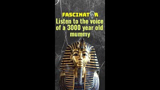 Listen to the voice of a 3000 year old mummy shorts [upl. by Nissa]