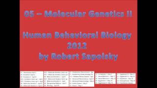 05  Molecular Genetics II from Human Behavioral Biology 2012 by Robert Sapolsky [upl. by Brooks110]