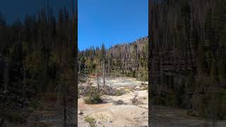 Lassen Volcanic National Park shorts nationalpark [upl. by Ojimmas]