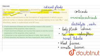 A  The hormone aldosterone is secreted by adrenal cortex after the low Na content in blood [upl. by Munson]