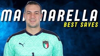 Stefano Mammarella  Best Saves [upl. by Anauqal]