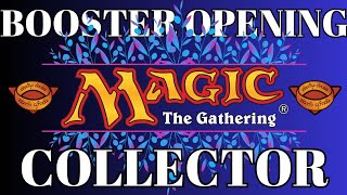 Opening Magic The Gathering  Lord Of The Rings 22 [upl. by Kerstin]