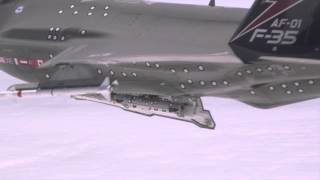 First F35A InFlight Missile Launch [upl. by Aspia]