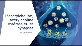 Présentation sur lacétylcholine lacétylcholine estérase et les synapses [upl. by Tati23]