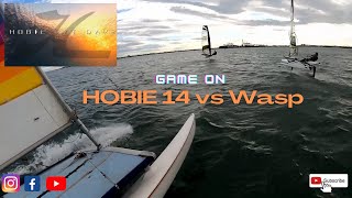 Hobie 14 vs Foiling Wasp sailing drag race  HOBIE CAT DAYS [upl. by Brigit]