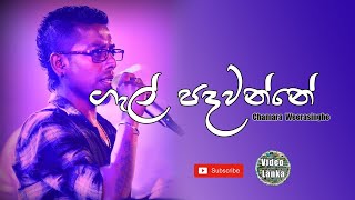 Gal Padawanne  ගැල් පදවන්නේ  Sinhala Songs  Chamara Weerasinghe [upl. by Zsa901]