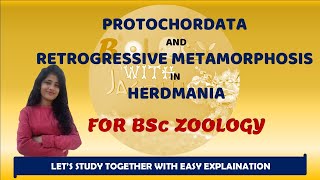 PROTOCHORDATES AND RETROGRESSIVE METAMORPHOSIS IN HERDMANIA BSC ZOOLOGY 1 YEAR BIOLOGYWITHJAGRITI [upl. by Flora626]